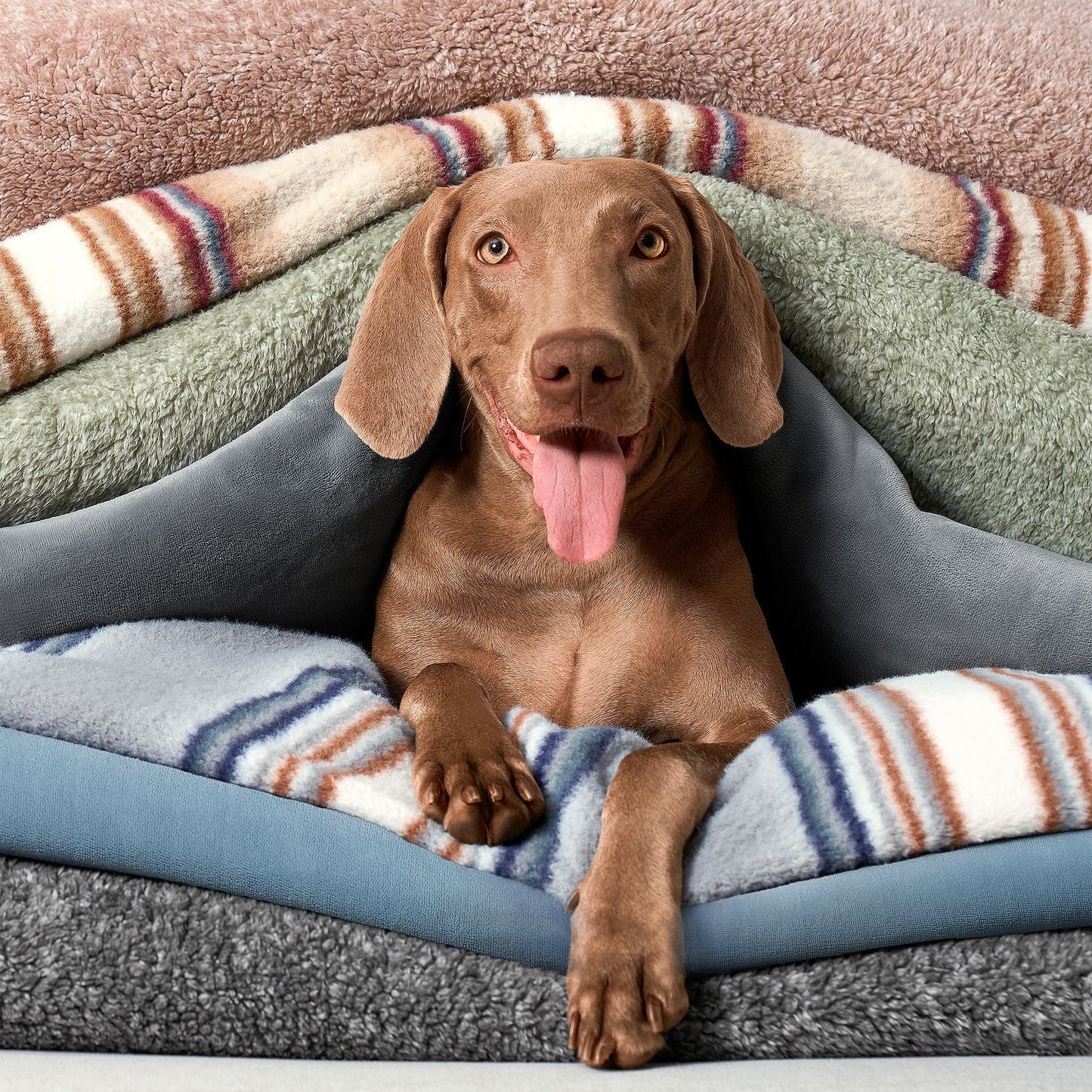 Bearpaw ASHFORD-THROW-DEEP-SEA